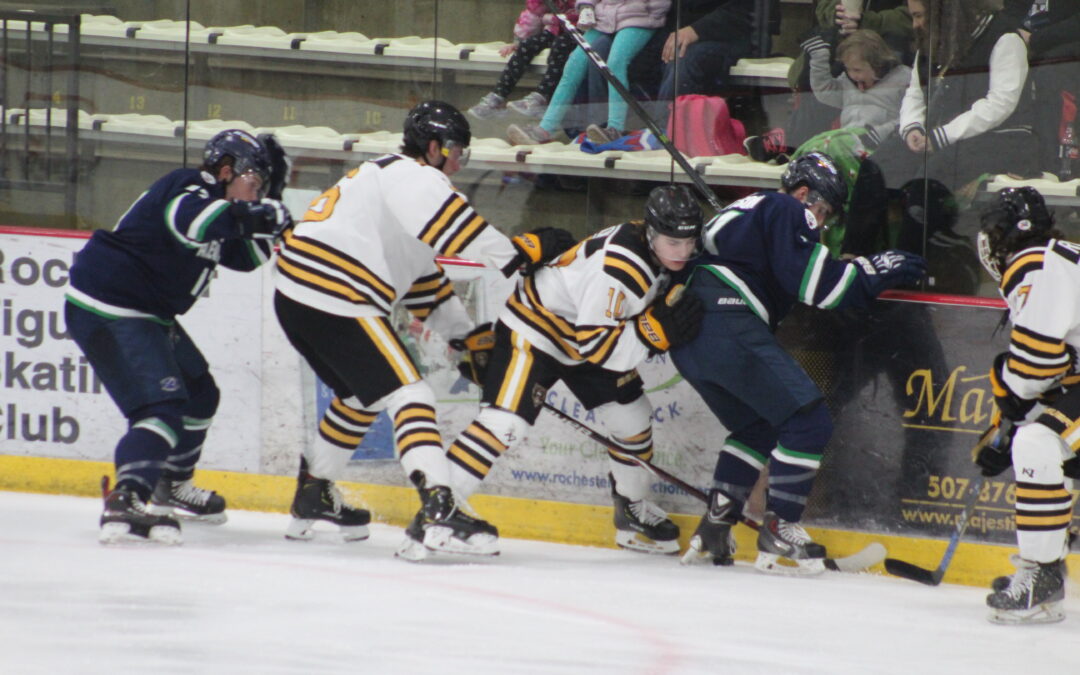 Grizzlies Suffer Weekend Sweep to Blizzard