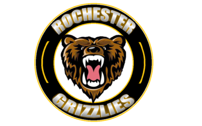 Stahl Recalled from Grizzlies to Austin Bruins