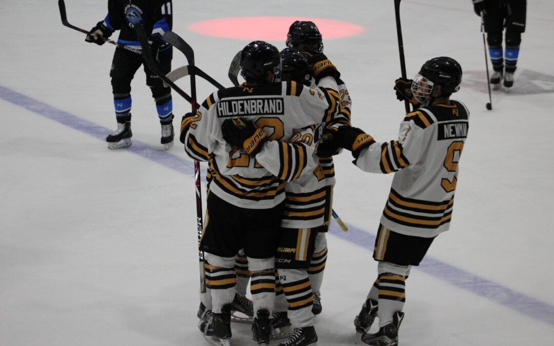 DeRosa Scores Overtime Winner on Teddy Bear Toss Night
