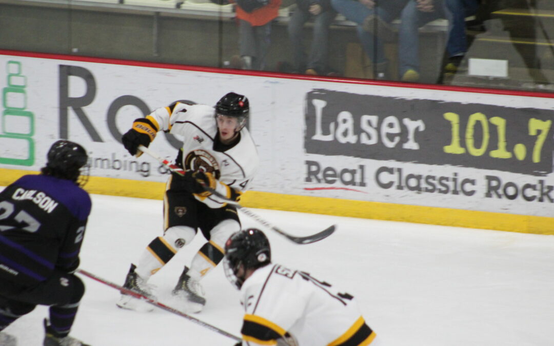 Grizzlies Extend Home Win Streak to Nine, Beat RiverWolves 5-3