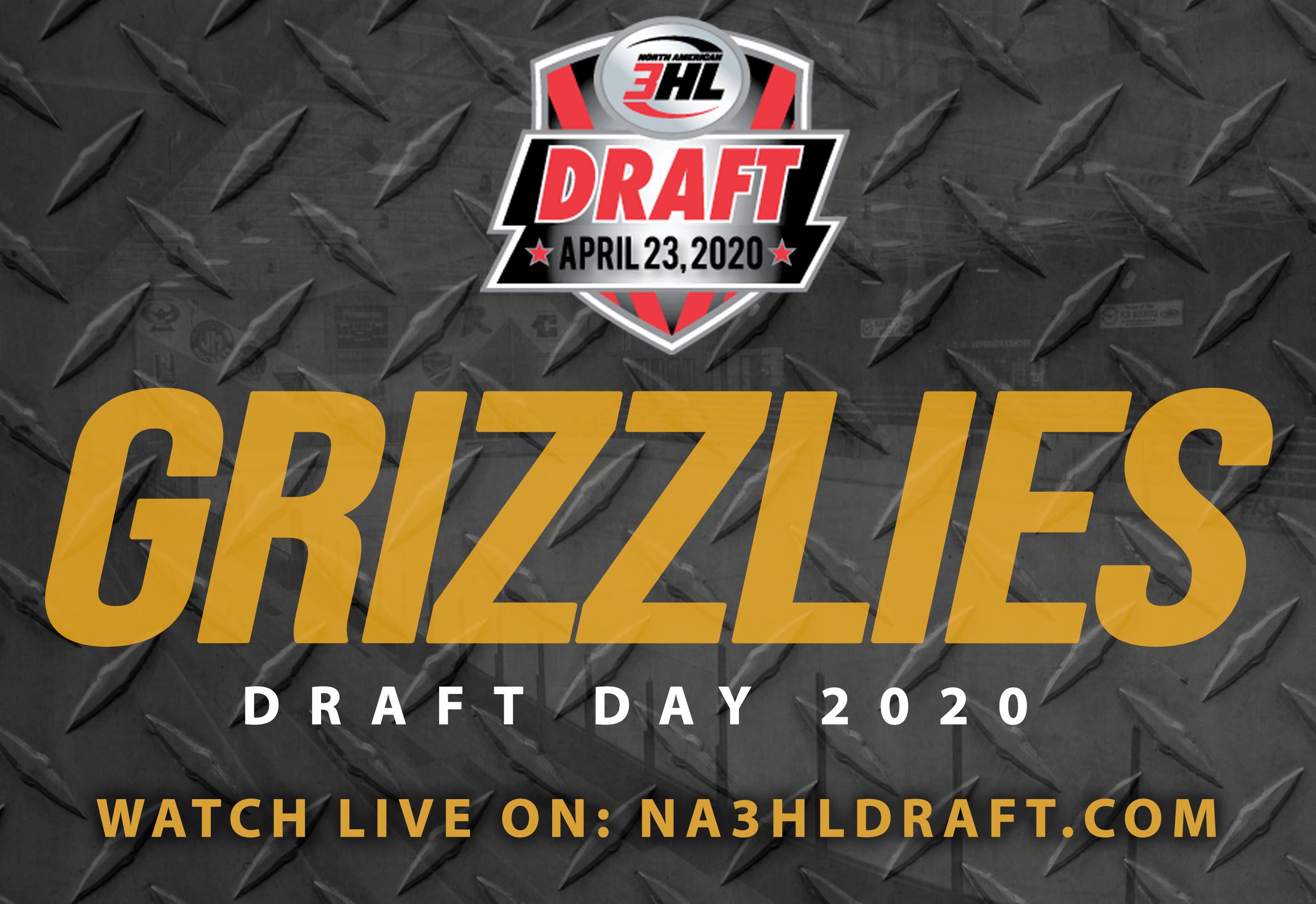 DraftDay_Grizzlies2020