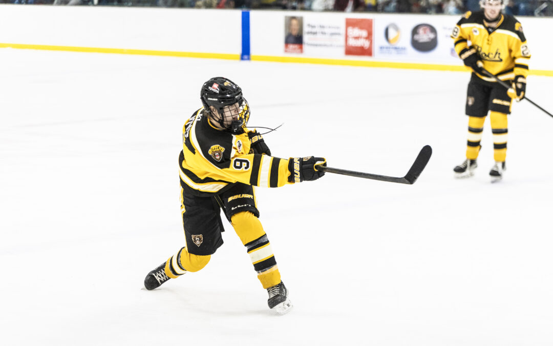 Grizzlies Fall, Split Weekend with Cyclones