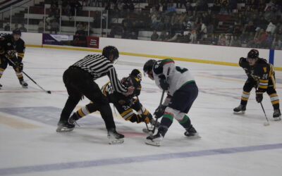 Rochester’s five-game winning streak comes to an end in Alexandria