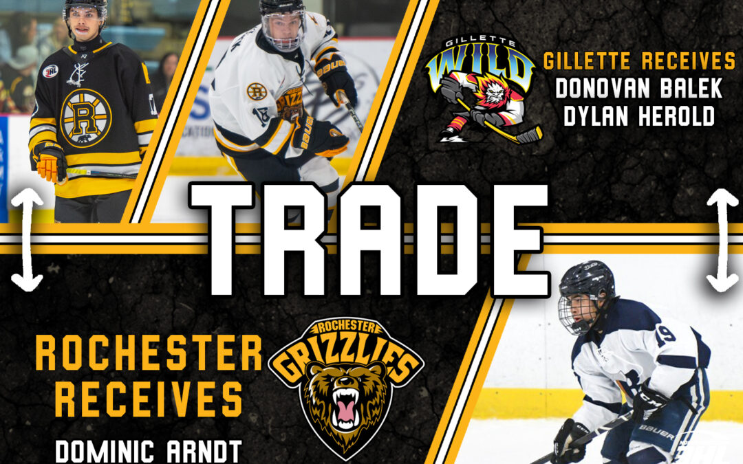 Grizzlies Acquire Dominic Arndt from Gillette Wild in Two-Player Deal