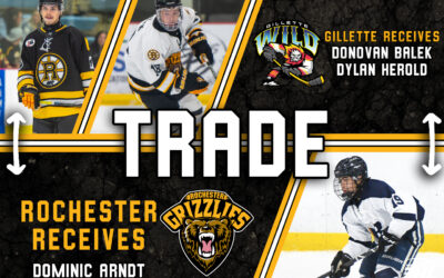 Grizzlies Acquire Dominic Arndt from Gillette Wild in Two-Player Deal